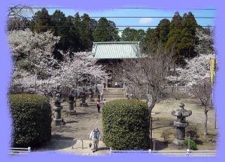 春の境内 鹿野山神野寺