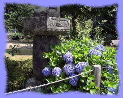 夏の境内 鹿野山神野寺