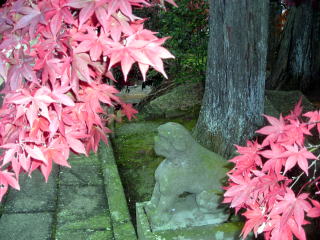 秋の境内 鹿野山神野寺