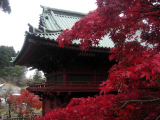 秋の境内 鹿野山神野寺
