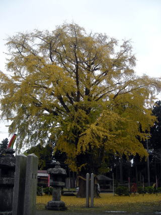 秋の境内 鹿野山神野寺