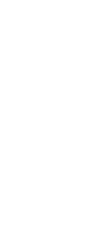 固定画像