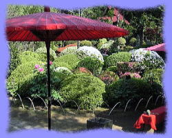 春の境内 鹿野山神野寺